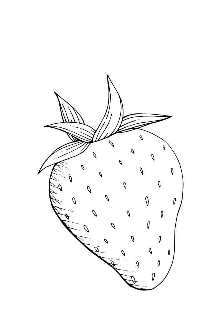 Dibujo de Dibujar a Mano Fresa para Colorear