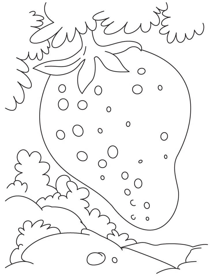 Dibujo de Fresa Creciente para Colorear