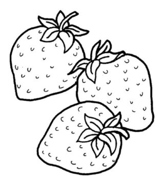 Dibujo de Tres Fresas para Colorear