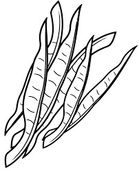 Dibujo de Frijol Increble para Colorear
