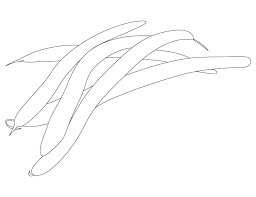 Dibujo de Frijoles Bsicos para Colorear