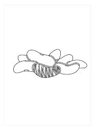 Dibujo de Frijoles Lima para Colorear