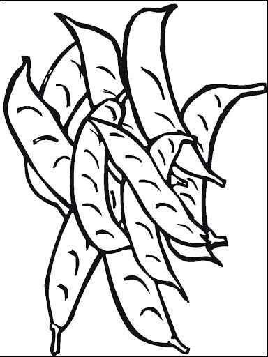 Dibujo de Frijoles Normales para Colorear