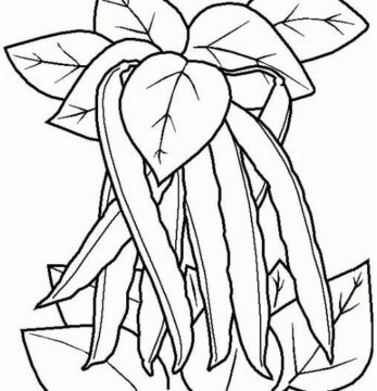 Dibujo de Frijoles y Hoja para Colorear