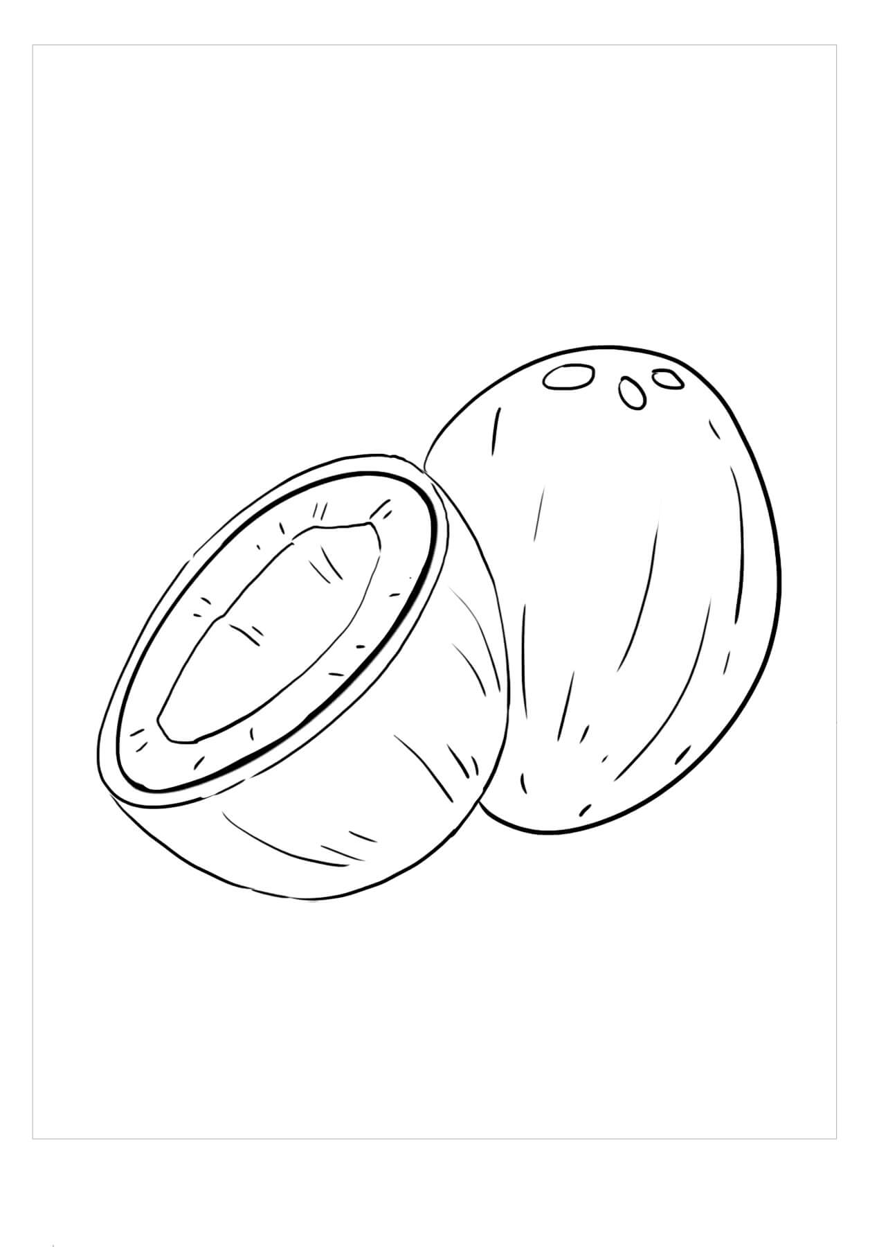 Dibujo de Coco Normal para Colorear