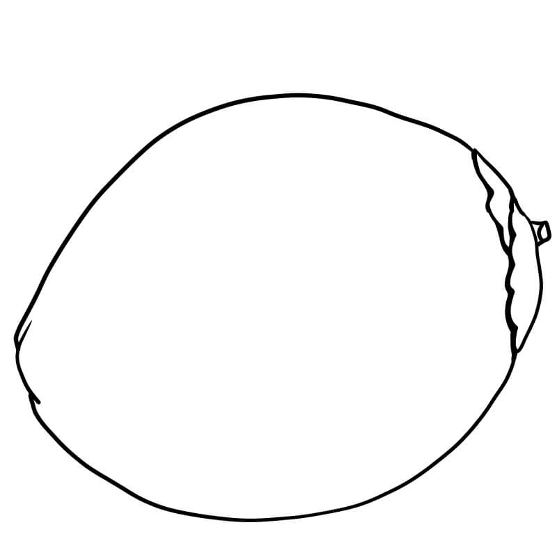 Dibujo de Coco Perfecto para Colorear