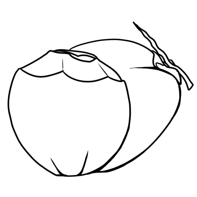 Dibujo de Dos Cocos para Colorear