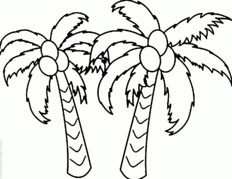 Dibujo de Dos Cocoteros Bsicos para Colorear