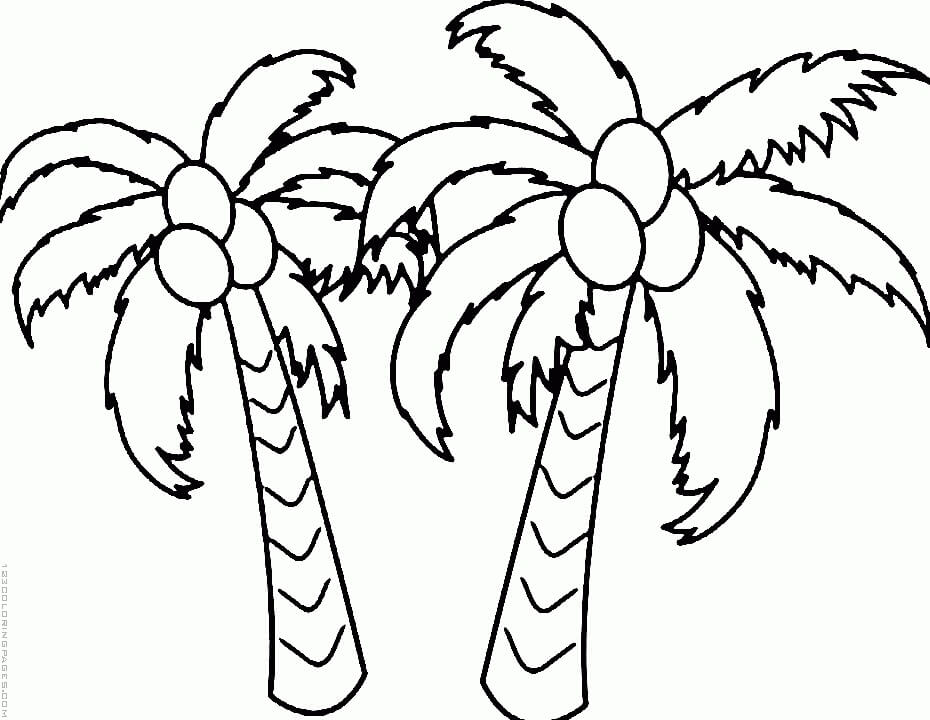 Dibujo de Dos Cocoteros Bsicos para Colorear