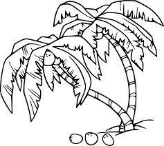 Dibujo de Dos Cocoteros para Colorear