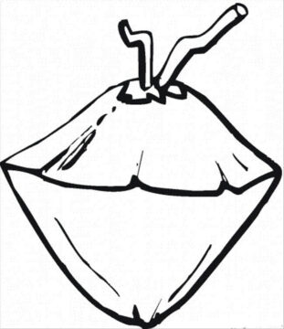 Dibujo de Gran Coco para Colorear