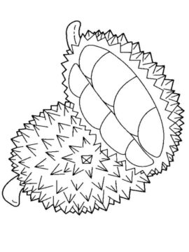 Dibujo de Hermoso Durian para Colorear