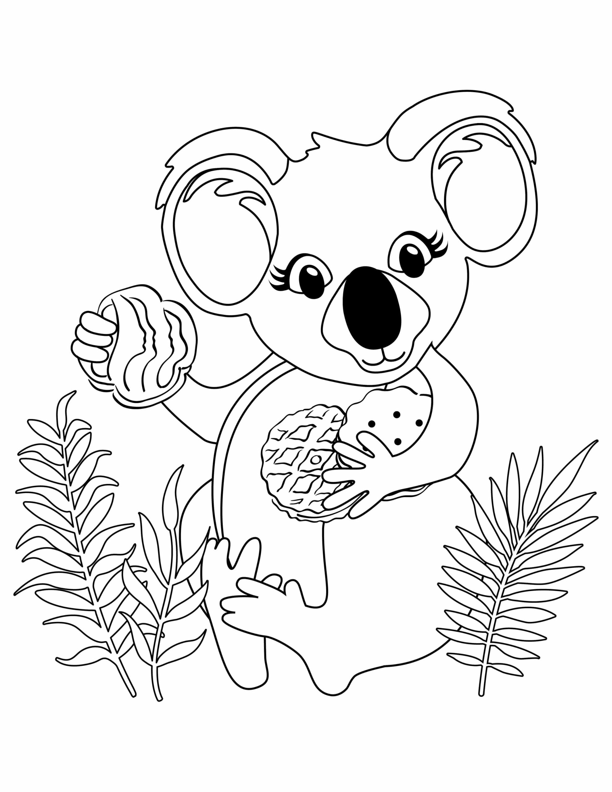 Dibujo de Koala con Galletas para Colorear