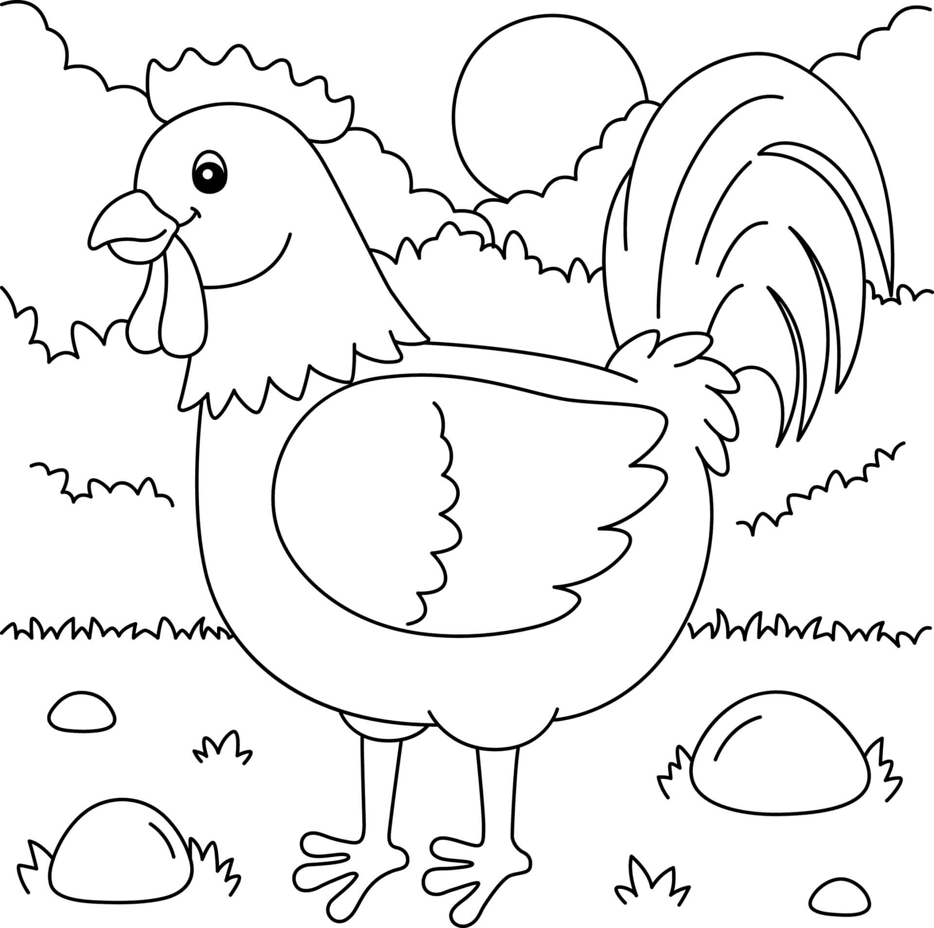 Dibujo de Bonito Gallo para Colorear