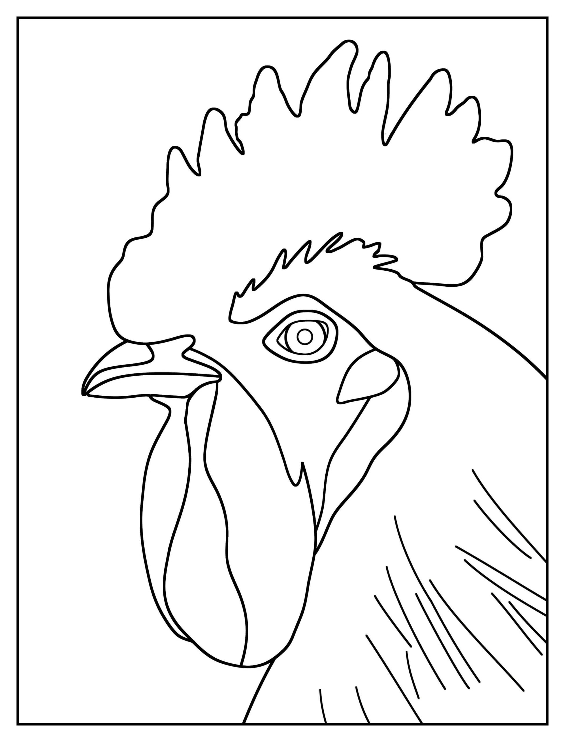 Dibujo de Cabeza de Gallo Scaled para Colorear