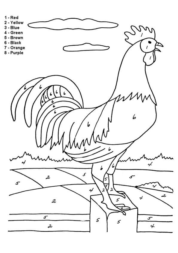 Dibujo de Color de Gallo por número para Colorear