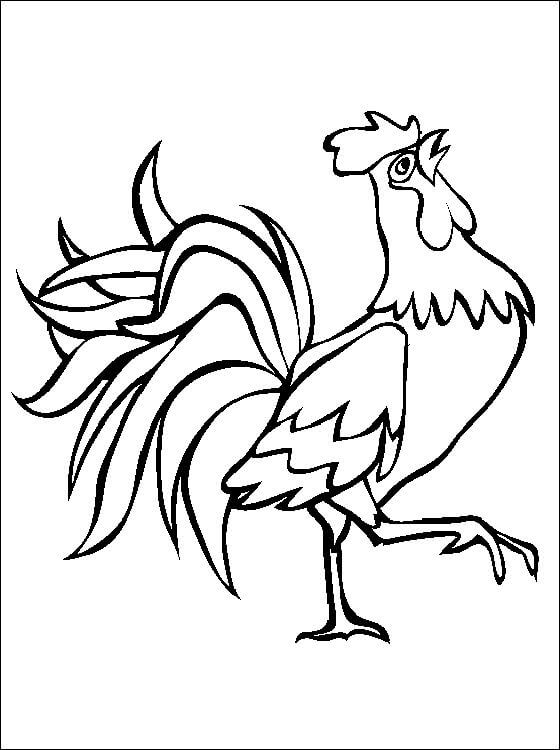 Dibujo de Gallo para Colorear