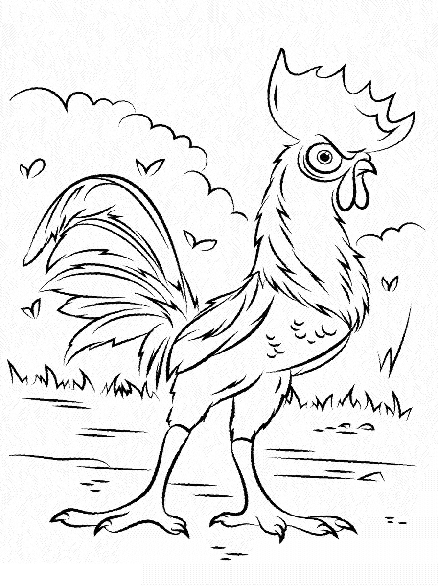 Dibujo de Hei Hei Gallo para Colorear