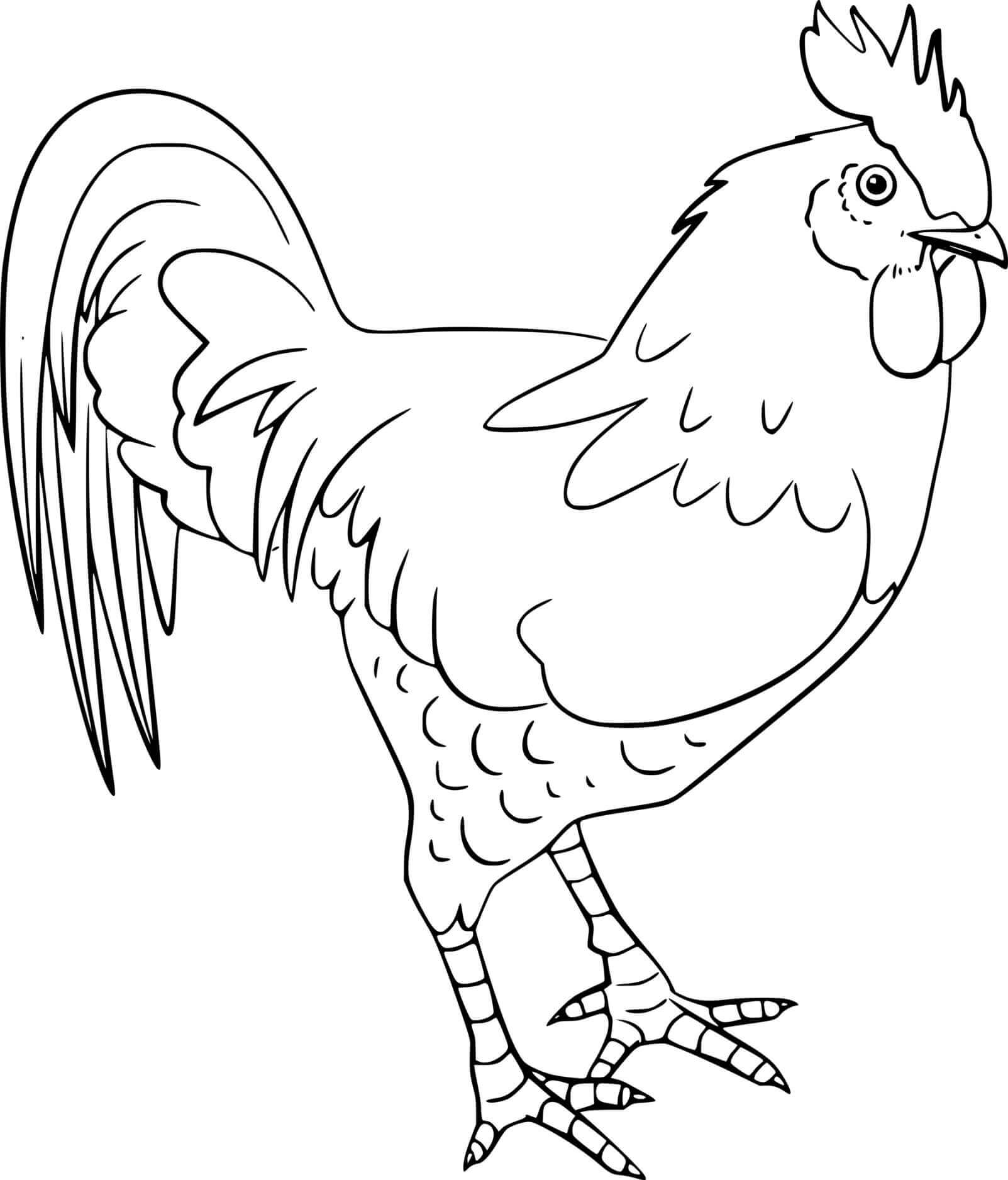 Dibujo de Gallo Asombroso para Colorear