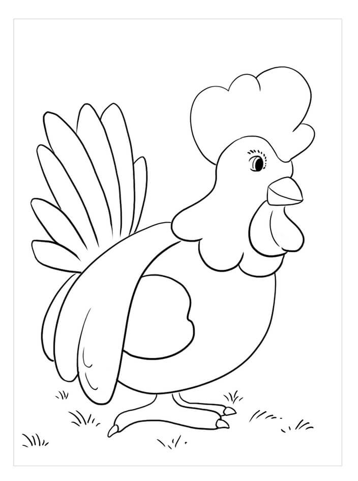 Dibujo de Gallo Libre para Colorear