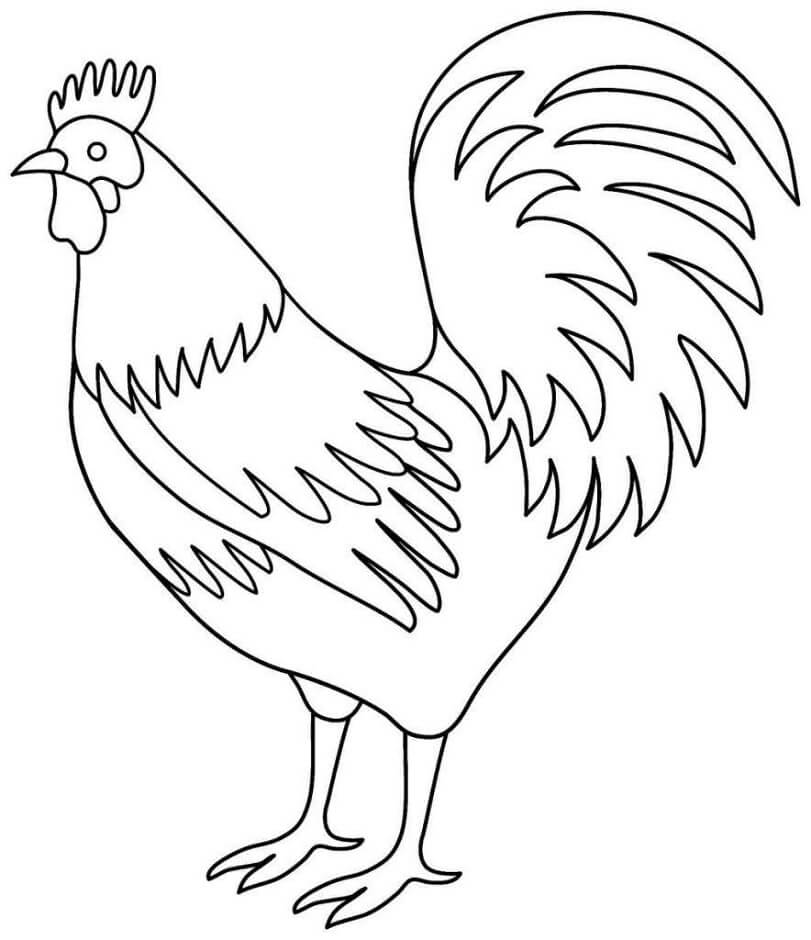 Dibujo de Gallo Sencillo para Colorear