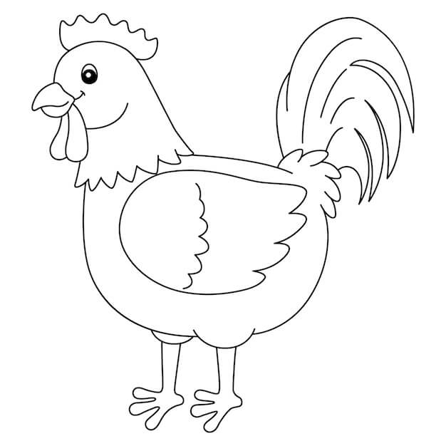 Dibujo de Gallo Sonriente para Colorear