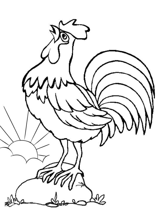 Dibujo de Gallo de Pie Sobre Roca para Colorear