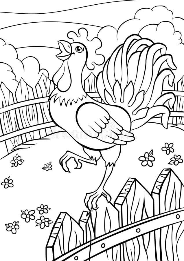 Dibujo de Gallo en Granja para Colorear