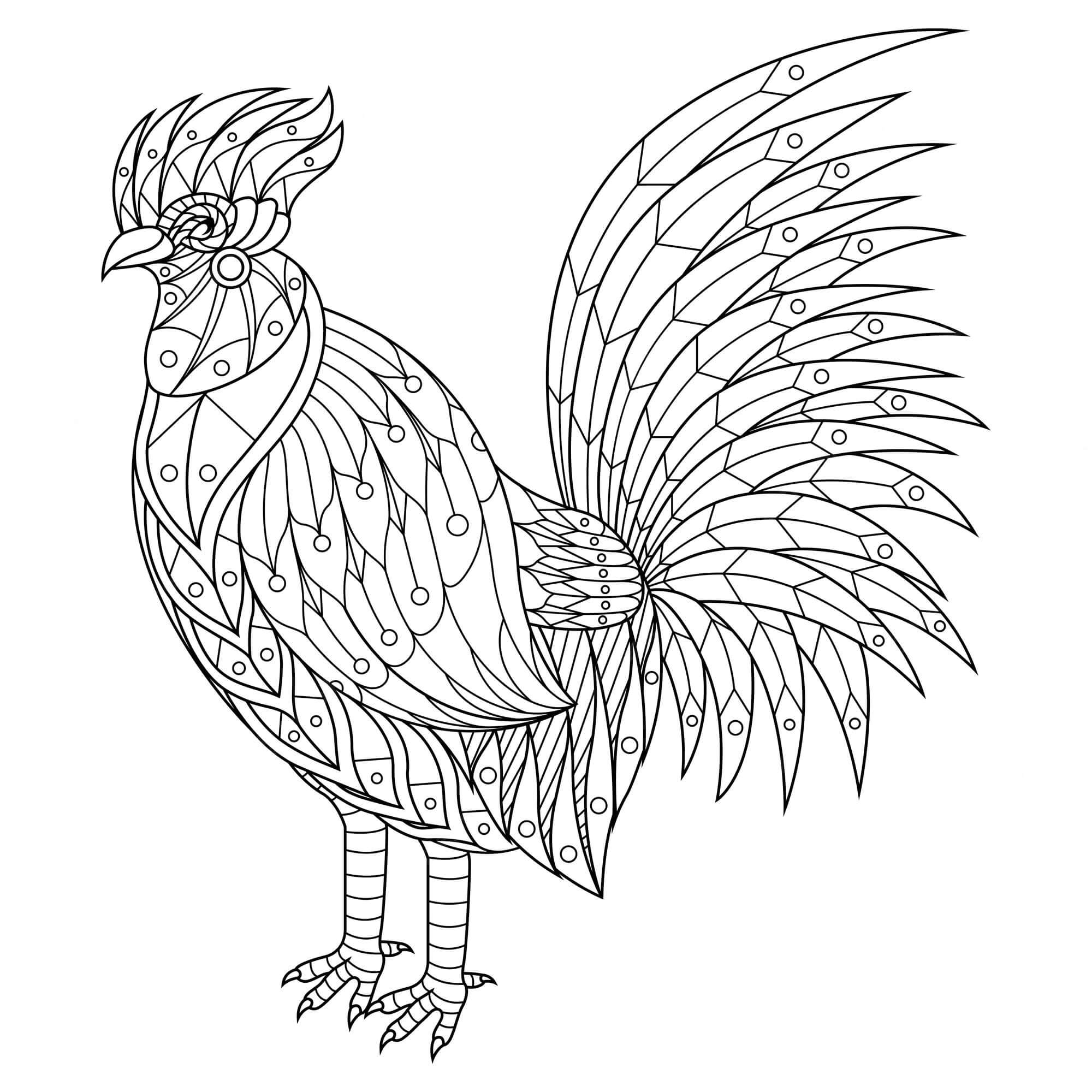 Dibujo de Gallo Es para Adulto para Colorear