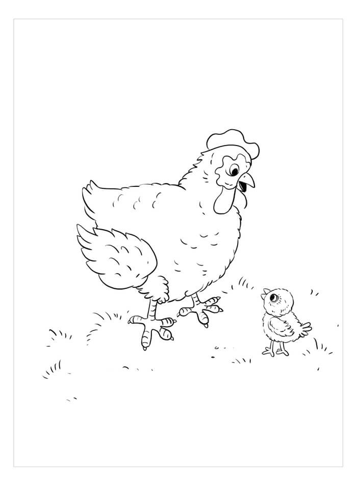 Dibujo de Gallo y Pollito para Colorear