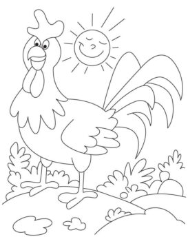 Dibujo de Gallo y Sol para Colorear