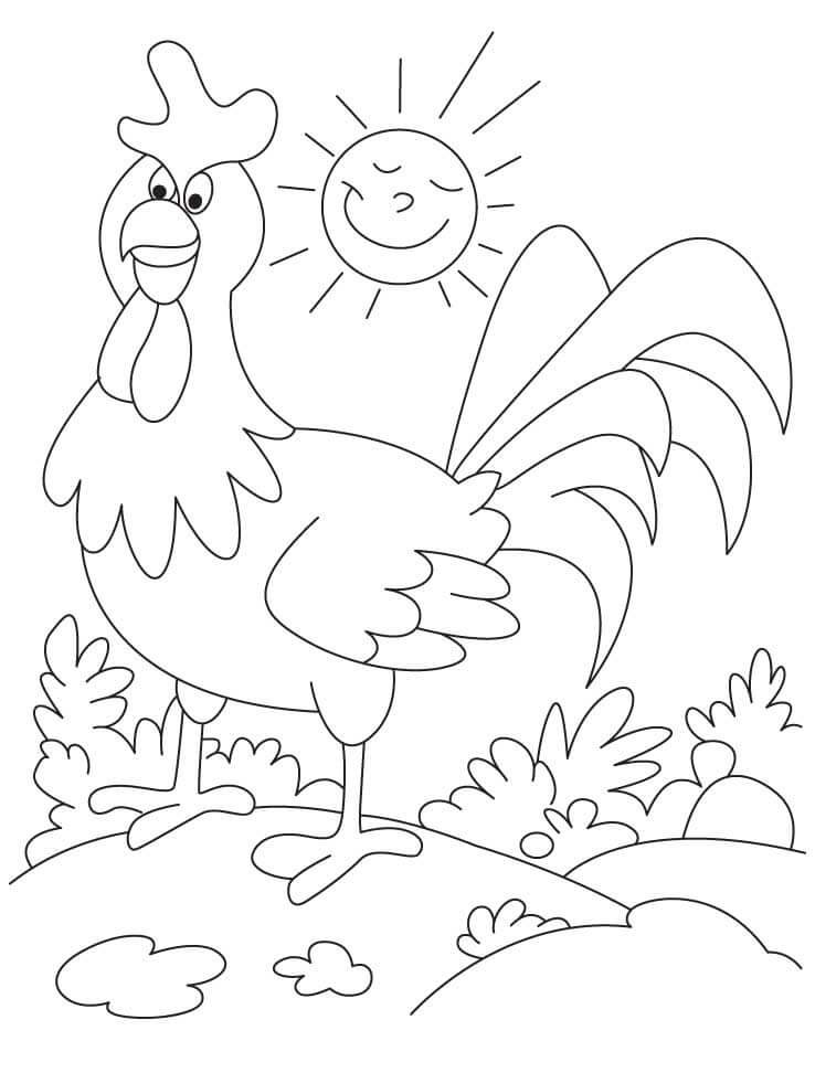 Dibujo de Gallo y Sol para Colorear