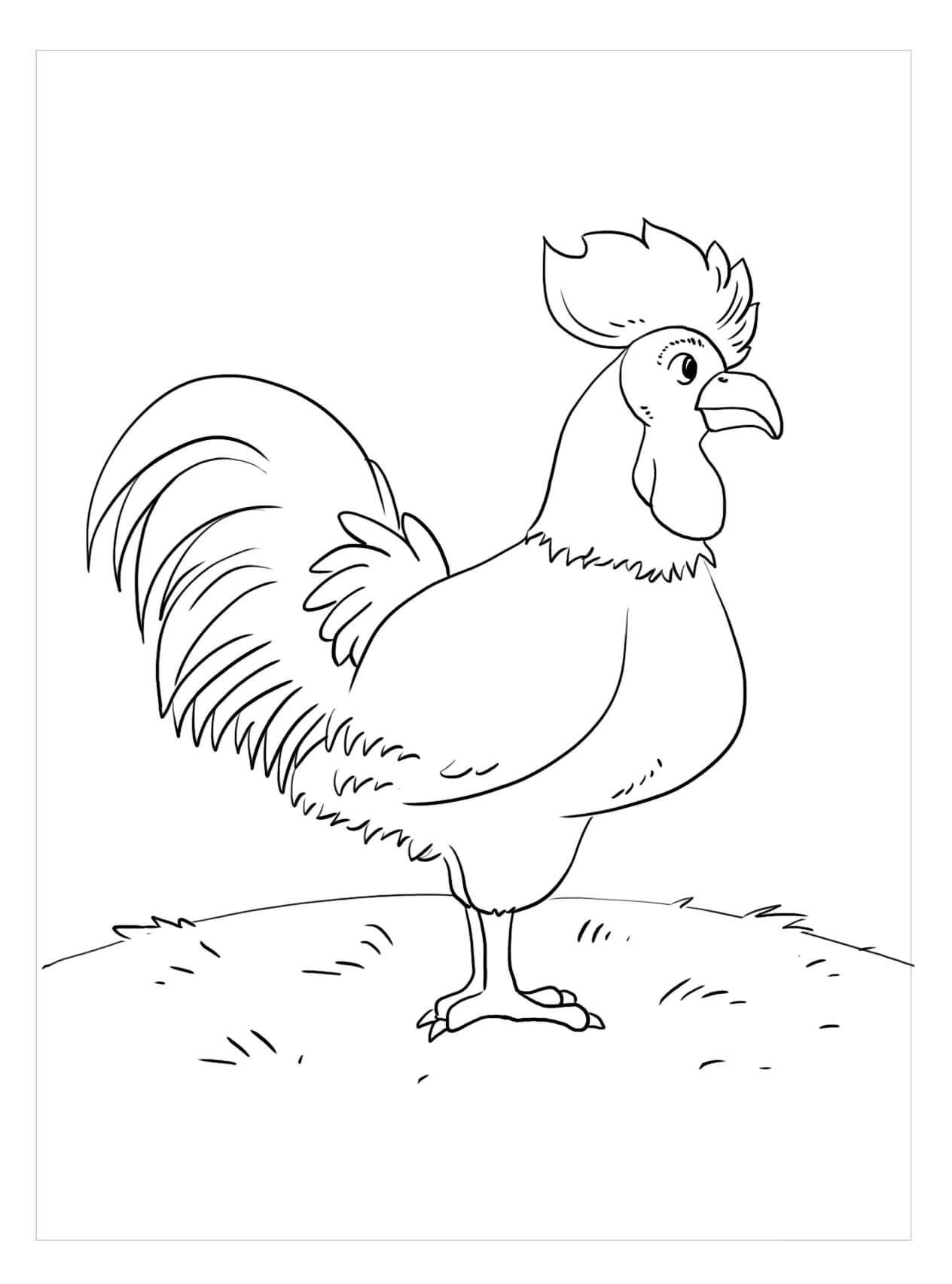 Dibujo de Gran Gallo para Colorear