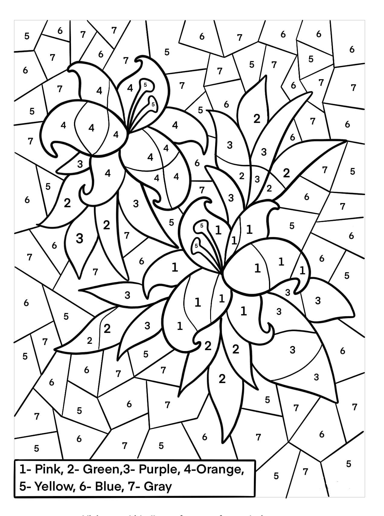 Dibujo de Gardenia Colorear por Nmeros para Colorear