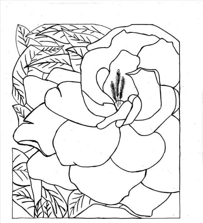 Dibujo de Gran Gardenia para Colorear