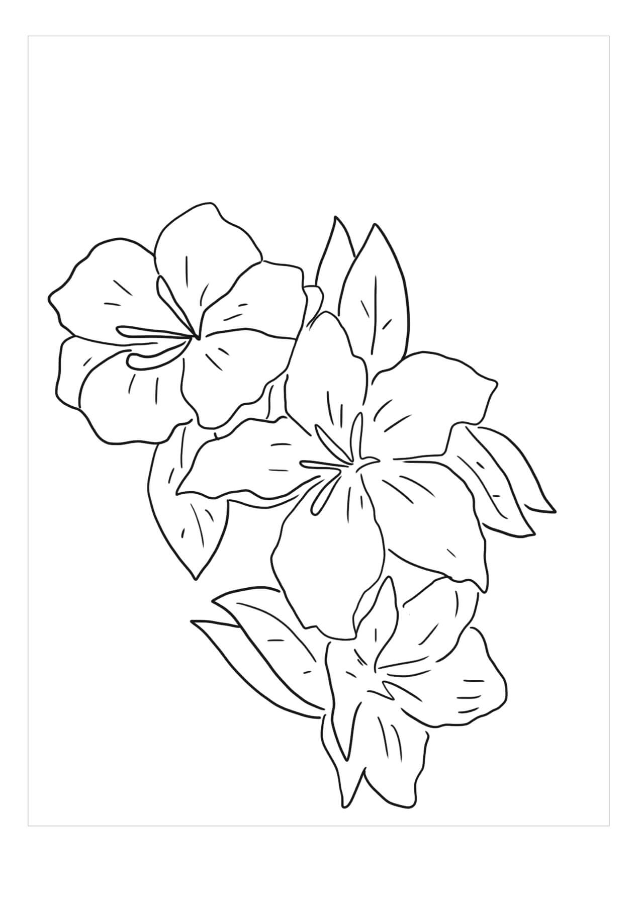 Dibujo de Increble Gardenia para Colorear