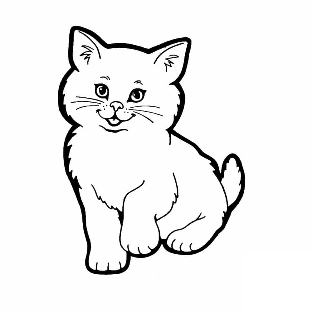Dibujo de Gatito Bsico para Colorear
