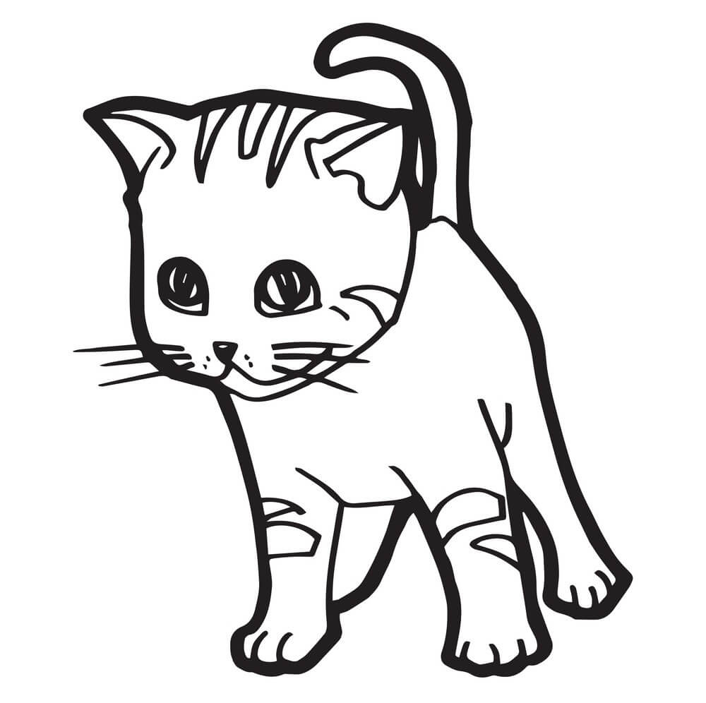 Dibujo de Gatito Dibujo para Colorear