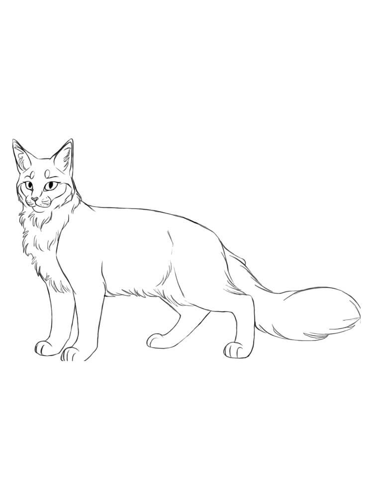 Dibujo de Buen Guerrero Gato para Colorear