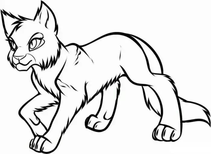 Dibujo de Bsico Guerrero Gato para Colorear