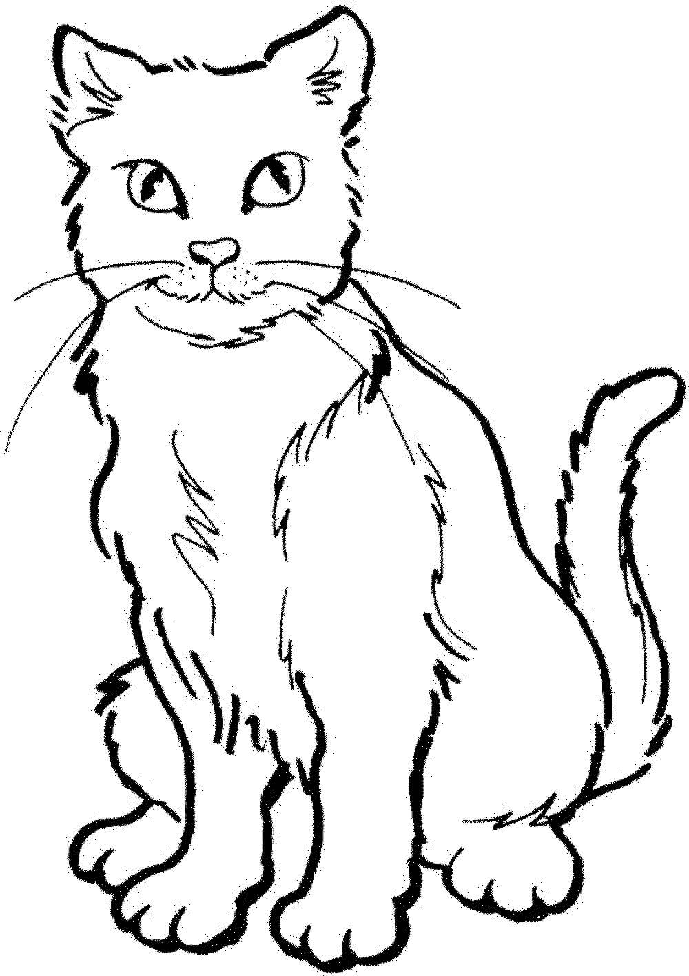 Dibujo de Gato Guerrero para Colorear