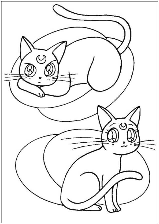 Dibujo de Dos Gatos Guerreros Lindos para Colorear