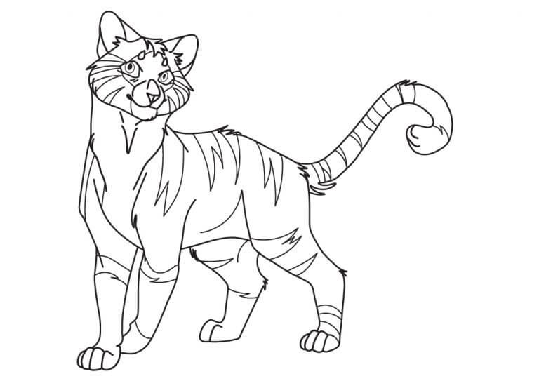 Dibujo de Gato Guerrero Imprimible para Colorear