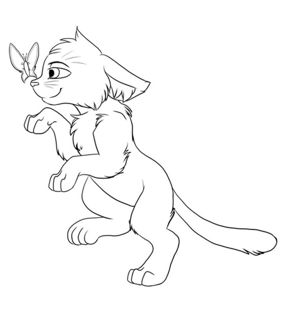 Dibujo de Gato Guerrero con Mariposa para Colorear