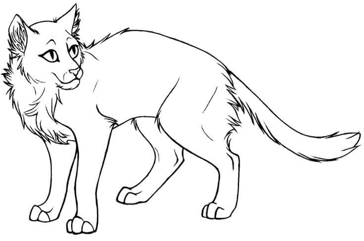 Dibujo de Gatos Guerreros Bsicos para Colorear