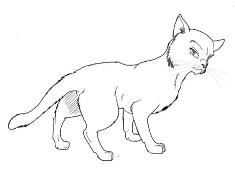 Dibujo de Genial Gato Guerrero para Colorear