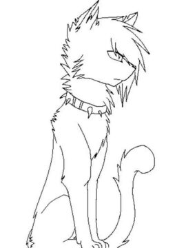 Dibujo de Hermoso Gato Guerrero para Colorear
