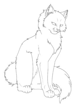 Dibujo de Increble Gato Guerrero para Colorear