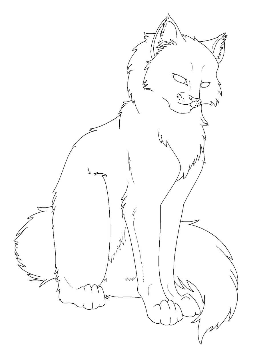 Dibujo de Increble Gato Guerrero para Colorear