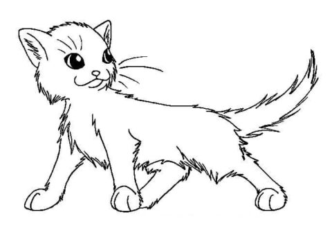 Dibujo de Lindo Gato Guerrero para Colorear